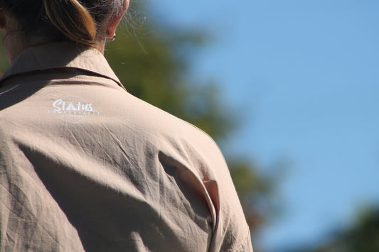 'The Somerset' image 0